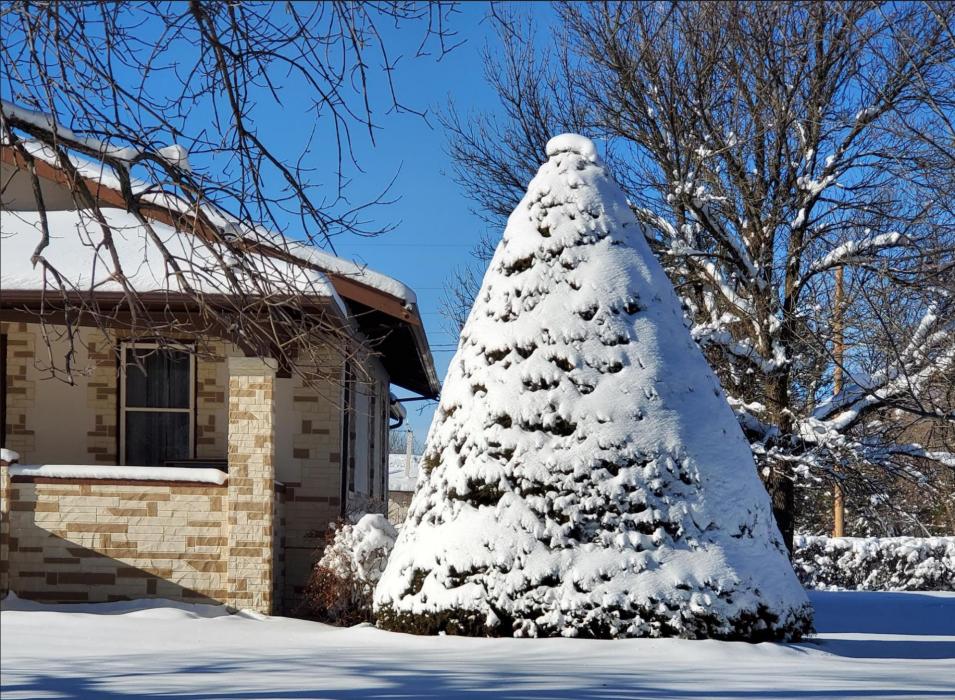 It’s beginning to look a lot like Christmas