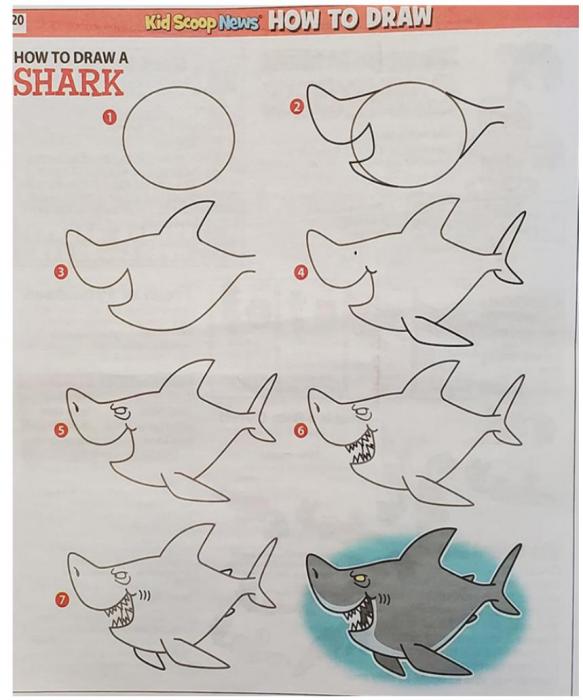 Each issue has a drawing lesson. Even adults will want to try their hand at drawing this sinister-looking shark.