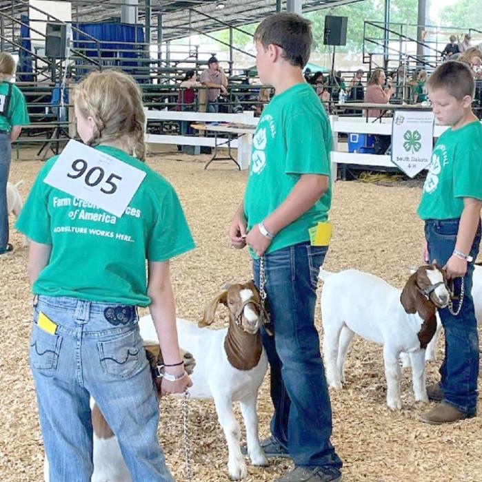 Gabe Adams of Bonesteel, center, shows his meat goat at the South Dakota State Fair. (Photo by Melissa Wonnenberg)