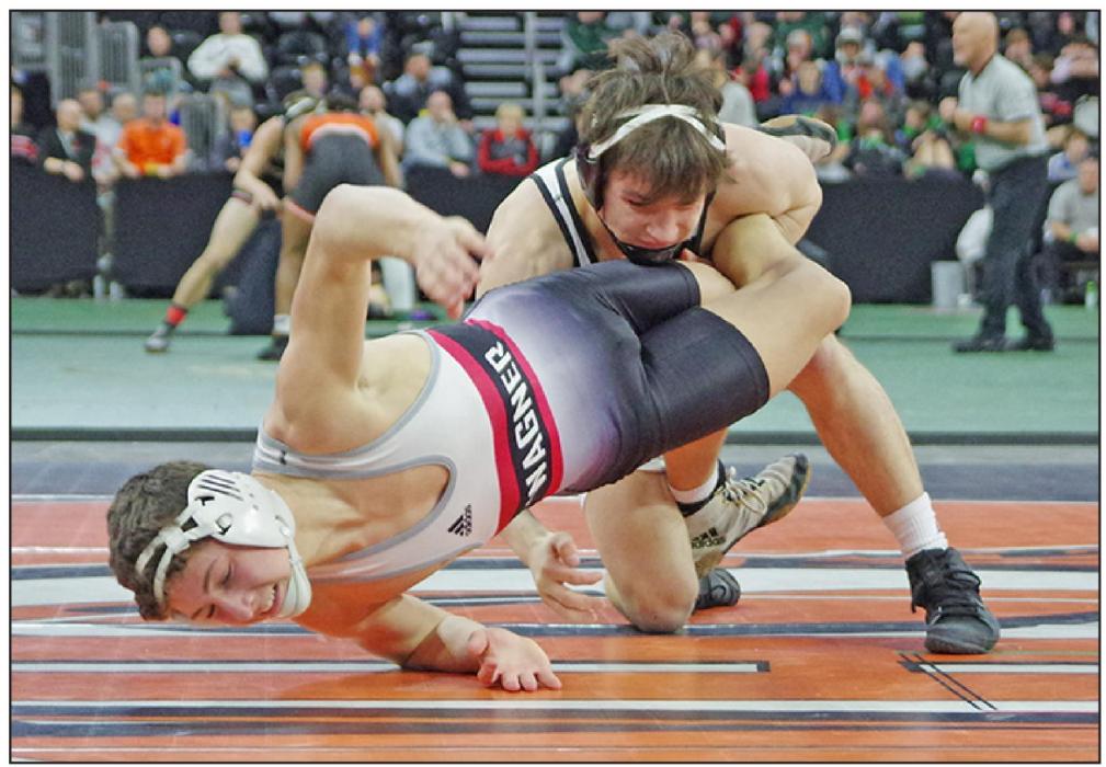 Hansen wins second state wrestling championship