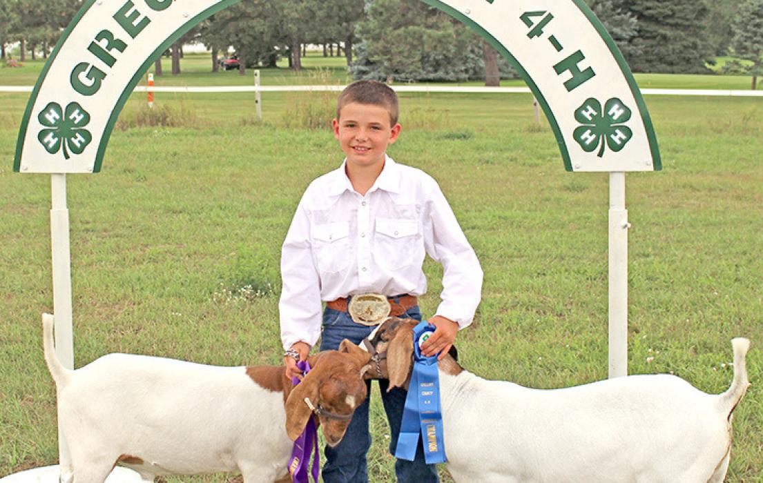 Gregory Co. 4-H holds annual Achievement Days in Burke on August 5-8