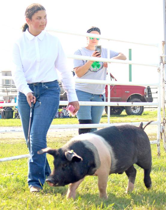 Gregory Co. 4-H holds annual Achievement Days in Burke on August 5-8