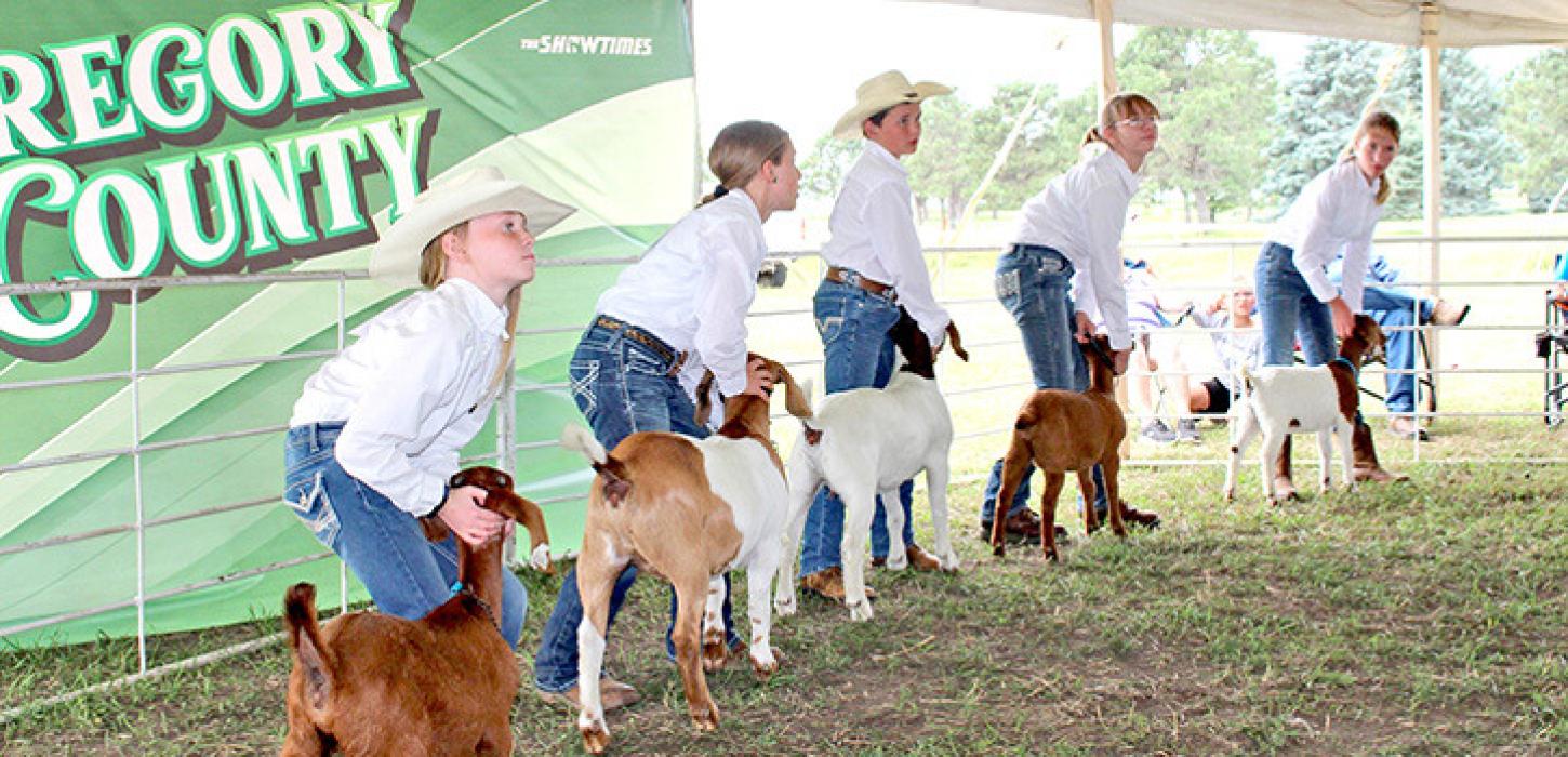 Gregory Co. Achievement days held last weekend in Burke