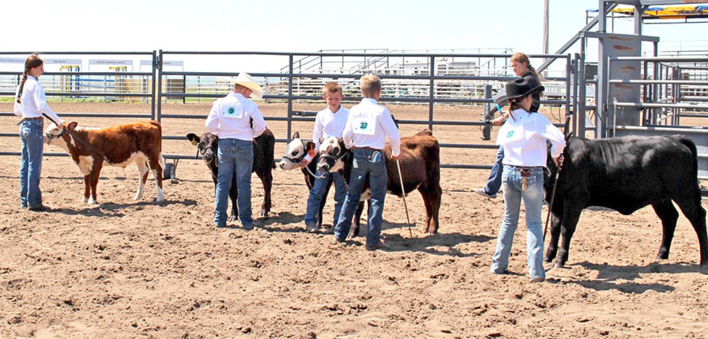 Gregory Co. Achievement days held last weekend in Burke