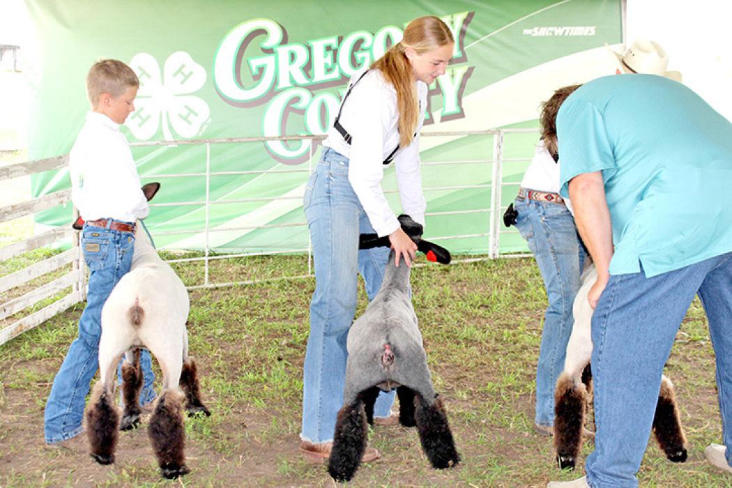 Gregory Co. Achievement days held last weekend in Burke