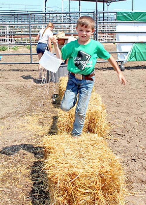 Gregory Co. Achievement days held last weekend in Burke
