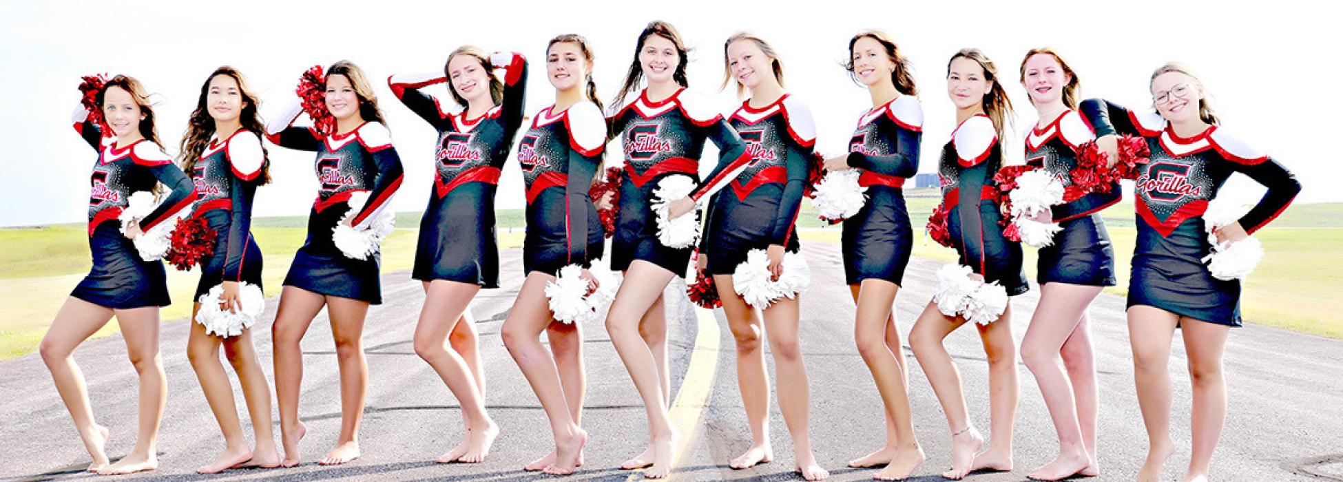 The Cheer/Dance teams consists of, l to r: Abby Holmes, Kennley Sedlacek, Hadley Braun, Addison Anderson, Savannah Lozano, Adrianna Ziady, Miley Janek, Addy Stukel, Kaelyn Rezac, Mia Haines, and Madi Graber. (Photo by Prairie Portraits by Shelley Heath)