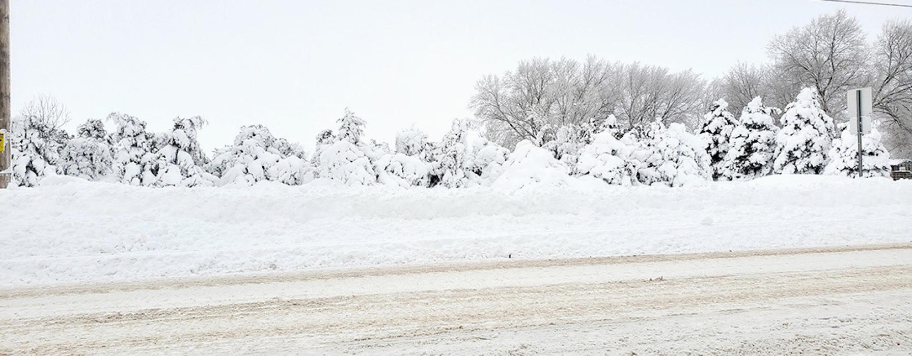 Gregory is still digging out of 44 ½ inches of snow from the last two snow storms
