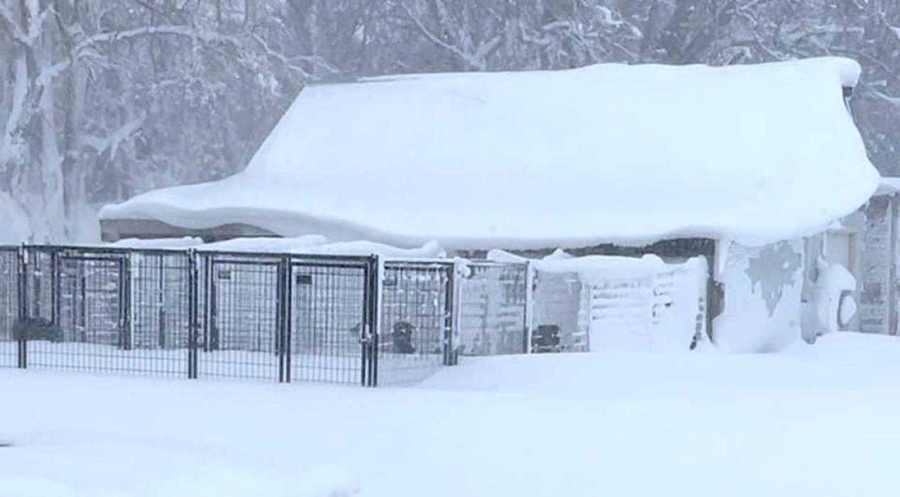 Gregory is still digging out of 44 ½ inches of snow from the last two snow storms