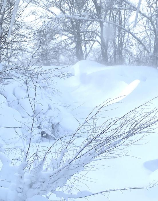 Progression of a blizzard